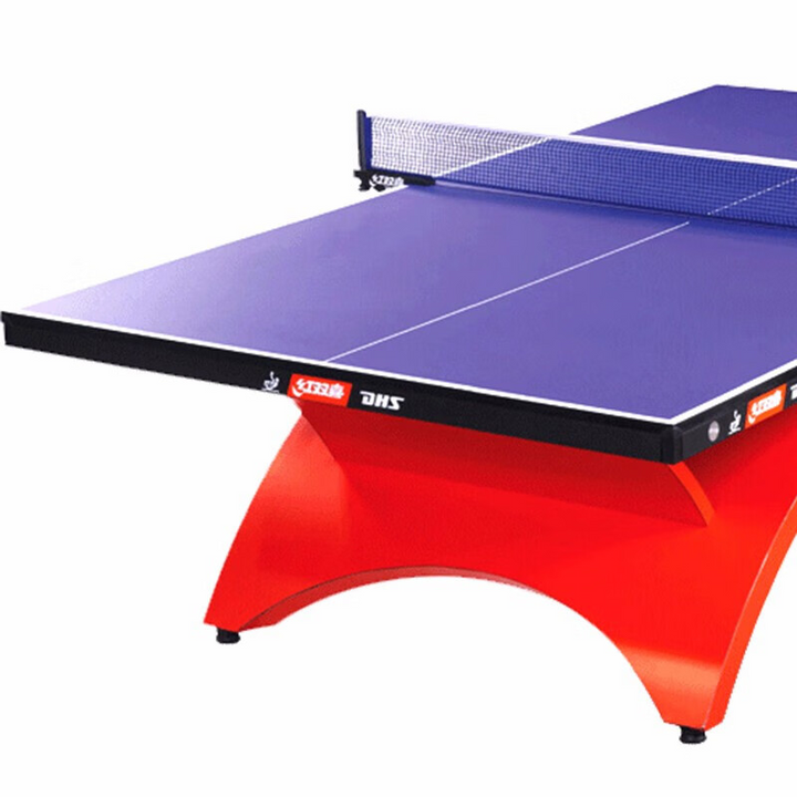 DHS Table tennis Table N.ch NEO Rainbow Table Tennis N.TCH