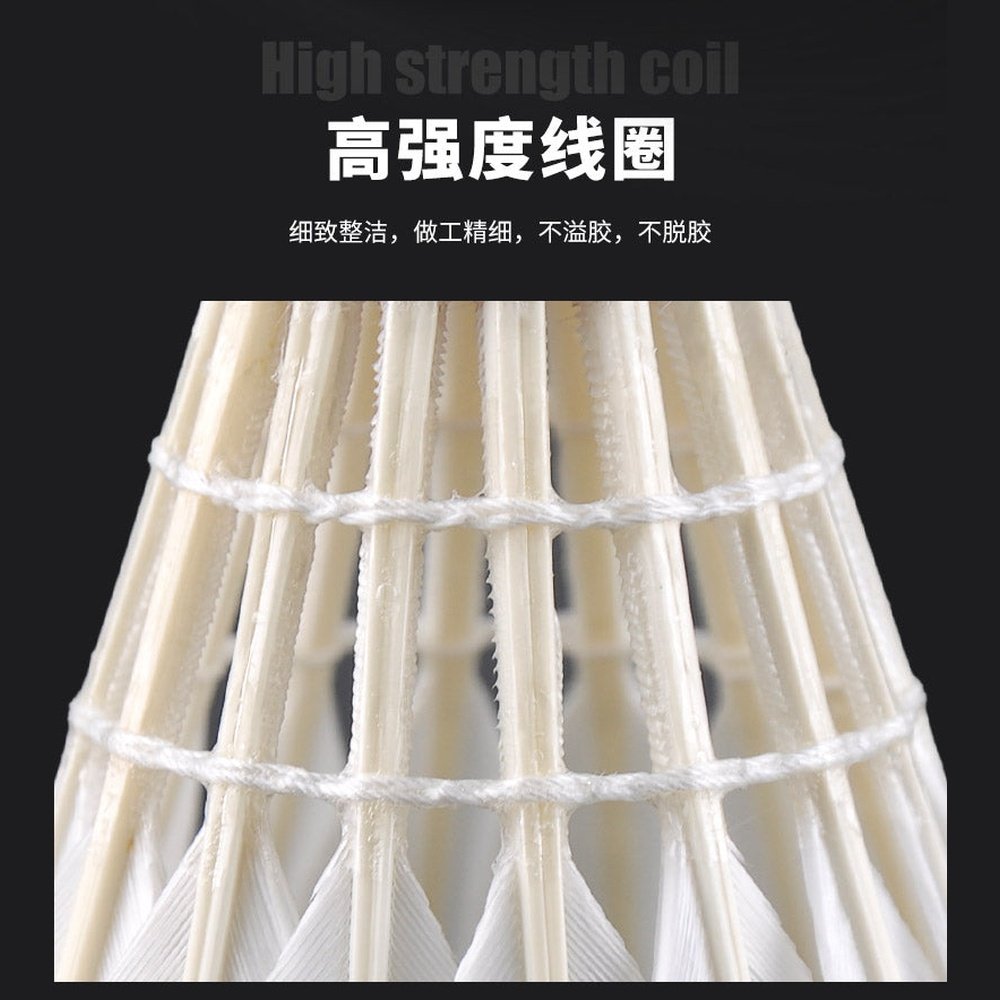 RSL D5 Badminton Shuttlecock Gooes Feather Top Class