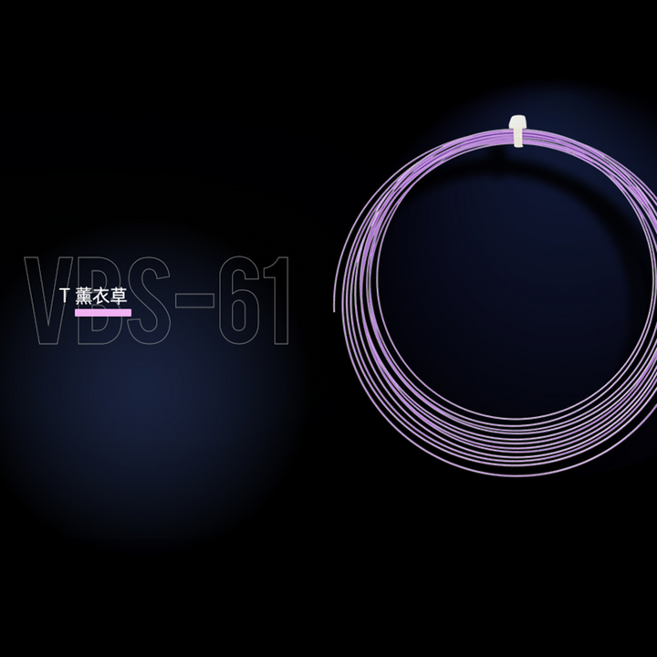 Victor VBS-61 Badminton Stringing Service