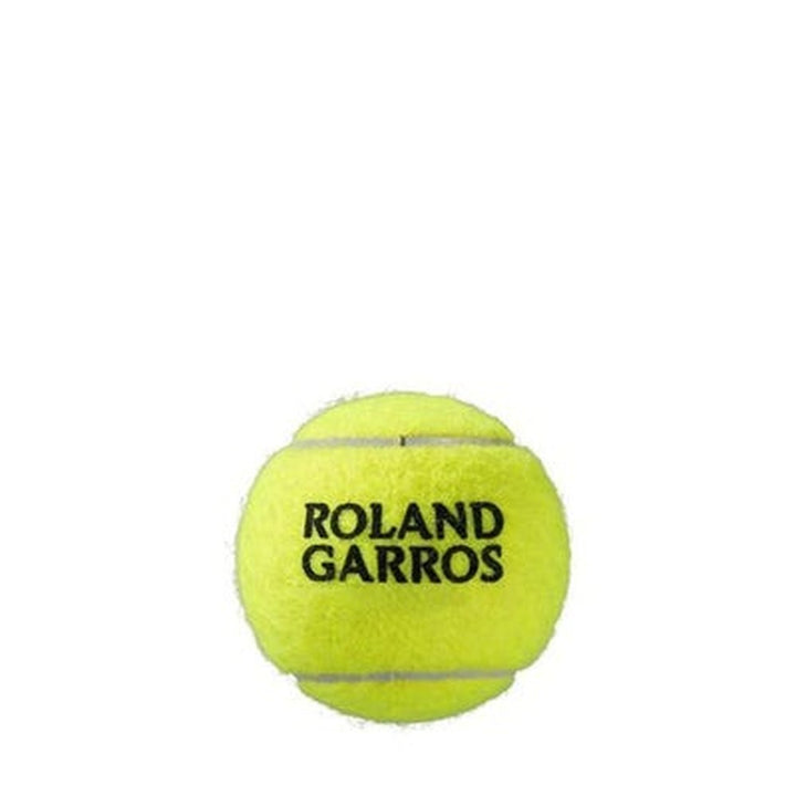 Wilson Roland Garros Clay Court 4 Tennis Balls