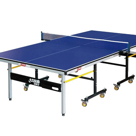 DHS Single Folding Table Tennis Table T2020