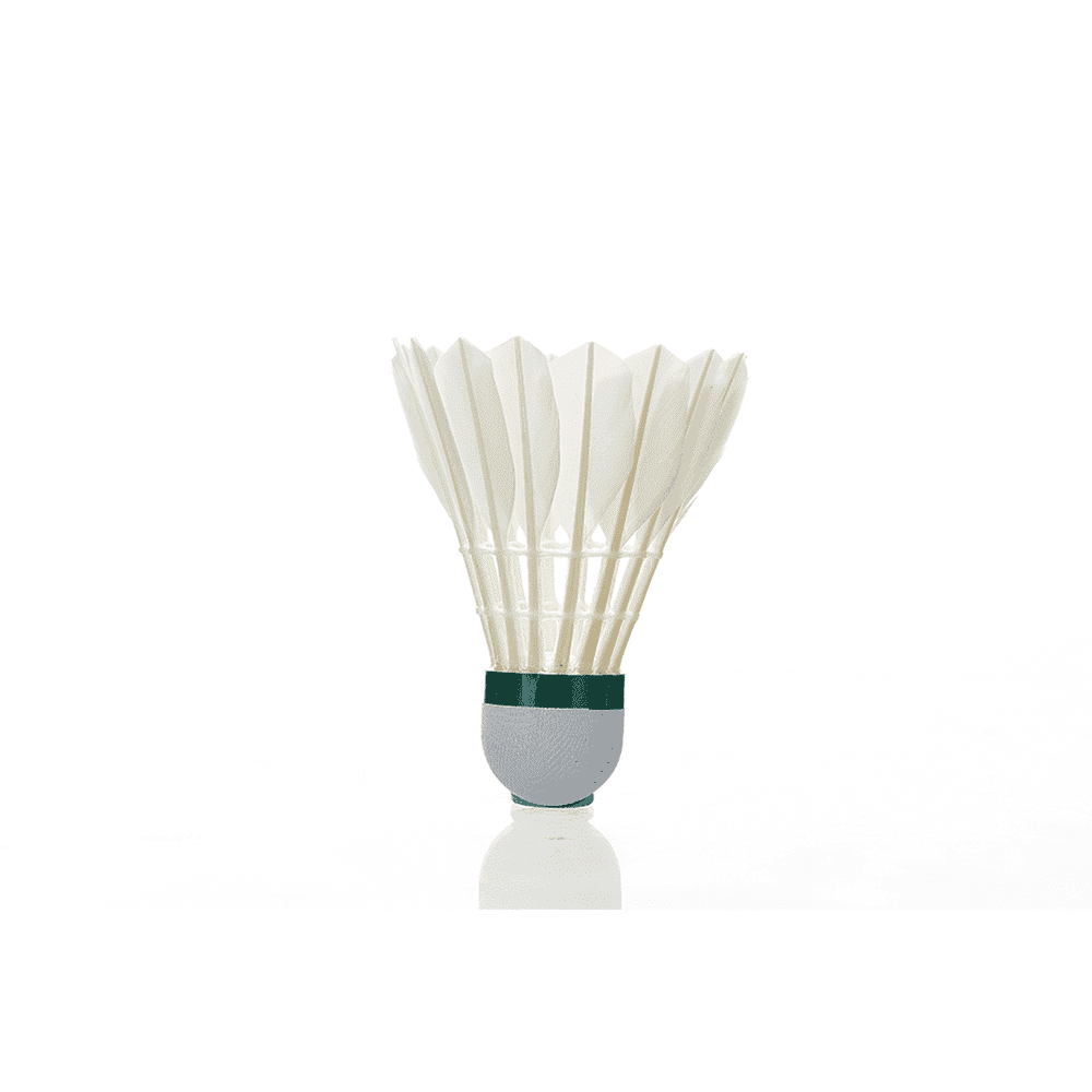 Kawasaki King 8E - Goose Badminton Shuttlecock