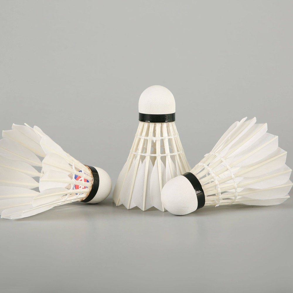 LINGMEI 20 Badminton Shuttlecocks Goose Feather （Social Type）