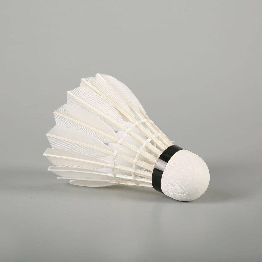 LINGMEI 20 Badminton Shuttlecocks Goose Feather （Social Type）