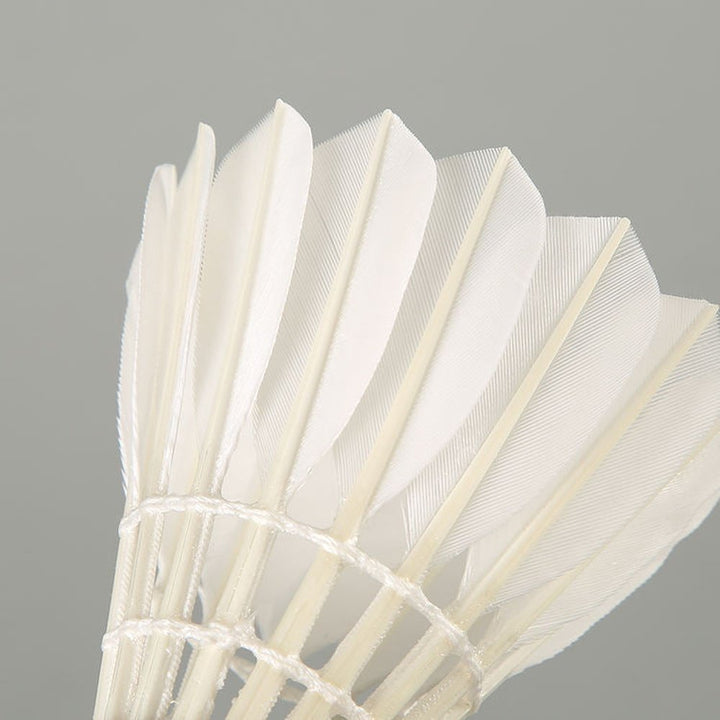 LINGMEI 60 Badminton Shuttlecocks  Goose Feather (Intermediate Type）